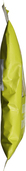 064210012109-22-12-29-1-30 - Gauche-JPG